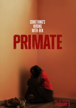 Primate