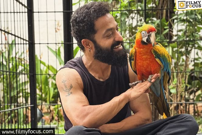 NTR Balances Mass Hype And Sweet Moments