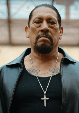 Danny Trejo image